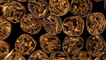 Can You Smoke a Dried Cigar?
