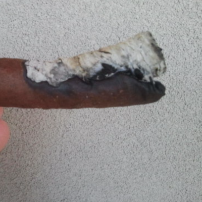 canoe cigar